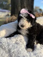 processed/5502005a-6eda-4d92-a224-3180ce6c28ac/listing/5c1da872-9082-4d5c-acf4-a33857fd9ba8/81d75446-ccd8-4147-8f5f-d1a439f894cc