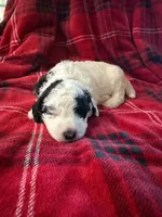 processed/5502005a-6eda-4d92-a224-3180ce6c28ac/listing/69b5e669-5d3d-4a03-a134-96549c66d8d6/73dd771f-def0-4c3d-9f7c-8a01b4764e43