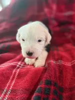 processed/5502005a-6eda-4d92-a224-3180ce6c28ac/listing/93513fab-58f0-4a14-96d0-77ee2abadfea/018ae221-c424-4961-9726-4429c0b86429