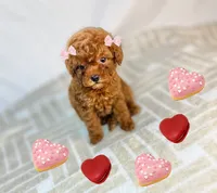 processed/55029d73-fe29-4f48-93b6-f84e7e0f05ed/listing/f948c0d0-d15a-49f7-8691-52657ef6e82f/e658ae74-f513-4c18-92ea-a4ede71270da