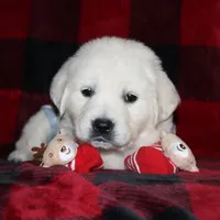 processed/55070da6-05b0-474e-91ce-e37cbdc7a7c8/facility/06867da6-b258-4df3-ac30-b19c9e3aceac