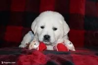 processed/55070da6-05b0-474e-91ce-e37cbdc7a7c8/facility/06867da6-b258-4df3-ac30-b19c9e3aceac