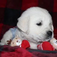 processed/55070da6-05b0-474e-91ce-e37cbdc7a7c8/facility/08385ca4-dbb0-4f81-bfd0-9c8905fc1bc8