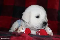 processed/55070da6-05b0-474e-91ce-e37cbdc7a7c8/facility/08385ca4-dbb0-4f81-bfd0-9c8905fc1bc8