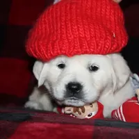 processed/55070da6-05b0-474e-91ce-e37cbdc7a7c8/facility/28a180ac-8809-48fb-b2d8-af4dcdb2c28a