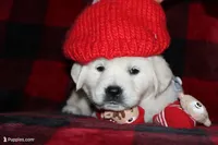 processed/55070da6-05b0-474e-91ce-e37cbdc7a7c8/facility/28a180ac-8809-48fb-b2d8-af4dcdb2c28a