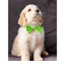 processed/55070da6-05b0-474e-91ce-e37cbdc7a7c8/facility/2bdb73bb-592d-4b17-a544-d521536ea28d