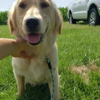 processed/55070da6-05b0-474e-91ce-e37cbdc7a7c8/facility/6b63cfba-9968-4439-a3cc-640664c7a266