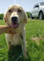 processed/55070da6-05b0-474e-91ce-e37cbdc7a7c8/facility/6b63cfba-9968-4439-a3cc-640664c7a266