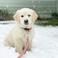 processed/55070da6-05b0-474e-91ce-e37cbdc7a7c8/facility/6ea0758e-eb94-46ad-ae4b-0695fe870def