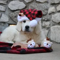 processed/55070da6-05b0-474e-91ce-e37cbdc7a7c8/facility/84573db5-ab6f-45ab-b81f-b3ff29c899c1