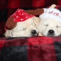 processed/55070da6-05b0-474e-91ce-e37cbdc7a7c8/facility/96f81a83-1540-4d33-8542-b28c2b00b6c7