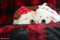 processed/55070da6-05b0-474e-91ce-e37cbdc7a7c8/facility/96f81a83-1540-4d33-8542-b28c2b00b6c7