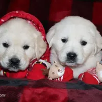 processed/55070da6-05b0-474e-91ce-e37cbdc7a7c8/facility/b7084799-3bac-4b09-aad7-d01f564f1841