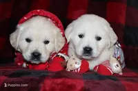 processed/55070da6-05b0-474e-91ce-e37cbdc7a7c8/facility/b7084799-3bac-4b09-aad7-d01f564f1841