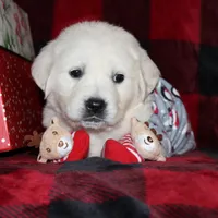 processed/55070da6-05b0-474e-91ce-e37cbdc7a7c8/facility/e1529240-ebf2-4850-9447-ba9ee0c8a560