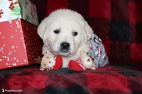 processed/55070da6-05b0-474e-91ce-e37cbdc7a7c8/facility/e1529240-ebf2-4850-9447-ba9ee0c8a560