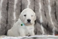 processed/55070da6-05b0-474e-91ce-e37cbdc7a7c8/listing/0ac5eeec-4eec-4fa9-b12c-ee4a846ccb5c/011a54bc-bb9f-48cd-9687-29ac972e09ec