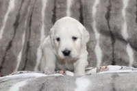 processed/55070da6-05b0-474e-91ce-e37cbdc7a7c8/listing/0ac5eeec-4eec-4fa9-b12c-ee4a846ccb5c/31fe3ab2-9455-410e-92c0-82d8506aff0f