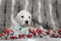 processed/55070da6-05b0-474e-91ce-e37cbdc7a7c8/listing/0ac5eeec-4eec-4fa9-b12c-ee4a846ccb5c/6b304cee-abf8-4ffd-b109-4ddb335bd800