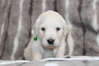 processed/55070da6-05b0-474e-91ce-e37cbdc7a7c8/listing/0ac5eeec-4eec-4fa9-b12c-ee4a846ccb5c/a95b921b-1cdf-4d23-8f3a-38e290352325