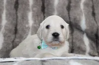 processed/55070da6-05b0-474e-91ce-e37cbdc7a7c8/listing/0ac5eeec-4eec-4fa9-b12c-ee4a846ccb5c/be716c3c-7461-43cc-9a65-17cfb23ed52b