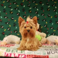 processed/5509fb86-b23f-4d98-87e6-87a4537bc081/facility/14d0d8bc-2fca-4475-83c4-756355b2b71b