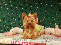 processed/5509fb86-b23f-4d98-87e6-87a4537bc081/facility/14d0d8bc-2fca-4475-83c4-756355b2b71b