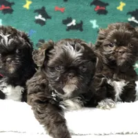 processed/5509fb86-b23f-4d98-87e6-87a4537bc081/facility/315fa204-71d7-4c23-9388-80de9d5b7376