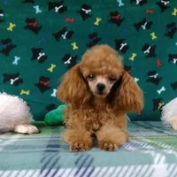 processed/5509fb86-b23f-4d98-87e6-87a4537bc081/facility/340b1372-5fbb-4345-9d38-e31f5fa6edd7