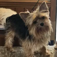 processed/5509fb86-b23f-4d98-87e6-87a4537bc081/facility/5349e2ea-4694-4162-942b-353ead88450c