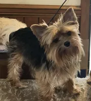 processed/5509fb86-b23f-4d98-87e6-87a4537bc081/facility/5349e2ea-4694-4162-942b-353ead88450c