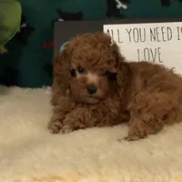 processed/5509fb86-b23f-4d98-87e6-87a4537bc081/facility/5df063c1-1a76-4aa5-b6f8-0edd845074be