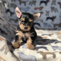 processed/5509fb86-b23f-4d98-87e6-87a4537bc081/facility/62b1f4f4-f029-45a6-8cbb-e001d16cd59f