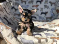 processed/5509fb86-b23f-4d98-87e6-87a4537bc081/facility/62b1f4f4-f029-45a6-8cbb-e001d16cd59f