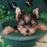 processed/5509fb86-b23f-4d98-87e6-87a4537bc081/facility/80686f36-344c-4e9b-bdc8-cb92c30d38c5