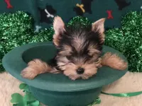 processed/5509fb86-b23f-4d98-87e6-87a4537bc081/facility/80686f36-344c-4e9b-bdc8-cb92c30d38c5