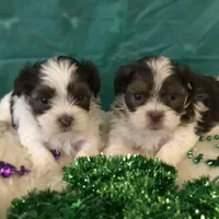 processed/5509fb86-b23f-4d98-87e6-87a4537bc081/facility/83342849-8b35-4b04-9e37-0565be26927d