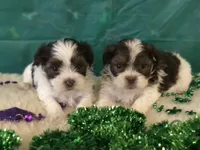 processed/5509fb86-b23f-4d98-87e6-87a4537bc081/facility/83342849-8b35-4b04-9e37-0565be26927d