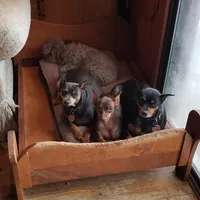 processed/5509fb86-b23f-4d98-87e6-87a4537bc081/facility/b9213bbd-992f-45e0-8c7f-8b4270994121