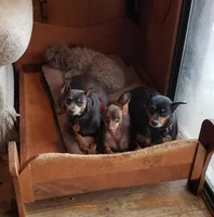 processed/5509fb86-b23f-4d98-87e6-87a4537bc081/facility/b9213bbd-992f-45e0-8c7f-8b4270994121