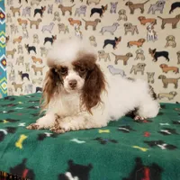 processed/5509fb86-b23f-4d98-87e6-87a4537bc081/facility/c1907611-9de4-4879-93fa-0f0dd2dc6dc5