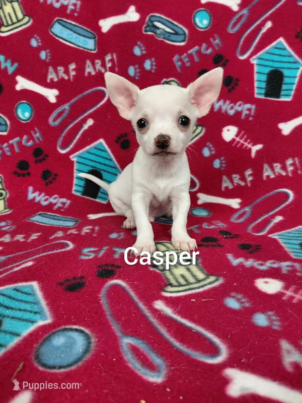 Casper