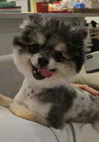 processed/5512fe48-6707-41ca-9e42-cb9174877098/listing/910fe33f-bccc-4863-b0a5-aa3b7a8288ad/68d06cbb-1e8f-4c94-895d-27669a6f2dc7