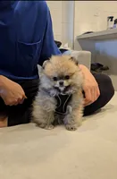 processed/5512fe48-6707-41ca-9e42-cb9174877098/listing/c2a25dae-ad8e-4fbf-95f8-df7d0588815c/9f9242a3-0067-4cc2-aa02-d70a50c25f59