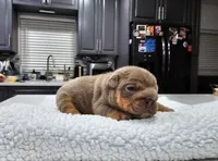 processed/55131e93-31cb-4928-9b58-44da9de85c19/listing/6102c0bc-09e8-40f4-8fd4-1cc335c1bf23/0d52f49e-5d94-4d6a-bd0f-96f83810316c