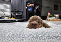 processed/55131e93-31cb-4928-9b58-44da9de85c19/listing/6102c0bc-09e8-40f4-8fd4-1cc335c1bf23/dabb1eb0-f399-42f5-93dc-e2e43ce89662