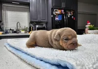 processed/55131e93-31cb-4928-9b58-44da9de85c19/listing/cf3bc256-0e54-4dc7-ac60-943f92729f1c/21a4de84-f599-4602-af6d-06b890e2d7bd