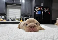 processed/55131e93-31cb-4928-9b58-44da9de85c19/listing/cf3bc256-0e54-4dc7-ac60-943f92729f1c/4e7ff4cb-3a8a-4d48-a19a-e6a79eb57f23