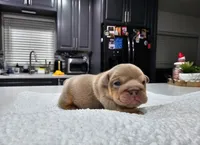 processed/55131e93-31cb-4928-9b58-44da9de85c19/listing/cf3bc256-0e54-4dc7-ac60-943f92729f1c/dbe6ae7b-4b73-48f1-8265-e59930ee3d00